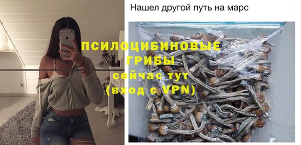 трава Верея