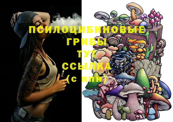 трава Верея