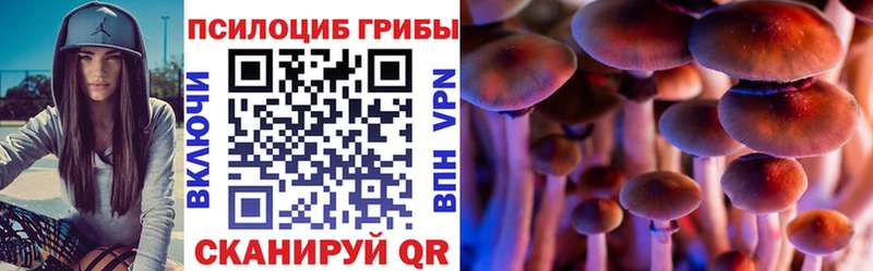 Псилоцибиновые грибы Psilocybe  Яранск 
